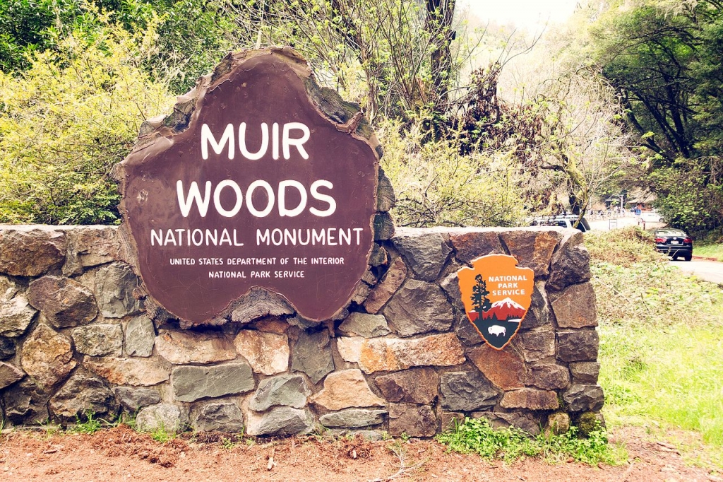 Muir Woods National Monument